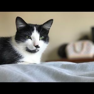 Meet your Posher, Natalia